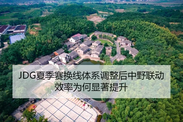 JDG夏季赛换线体系调整后中野联动效率为何显著提升